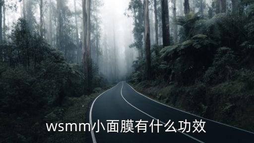 wsmm，wsmm小面膜是什么品牌