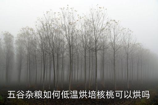 五谷雜糧如何低溫烘培核桃可以烘嗎