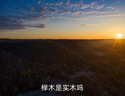 櫸木是實(shí)木嗎
