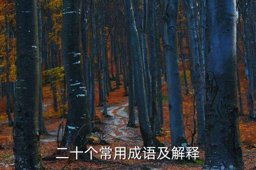 二十個常用成語及解釋