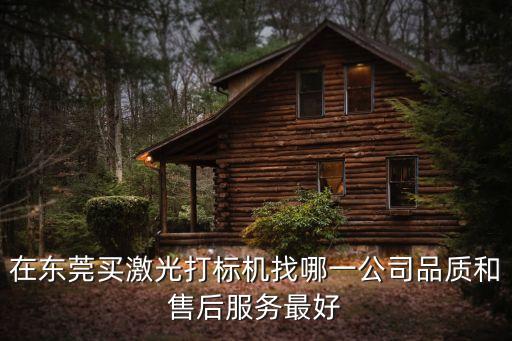 在東莞買激光打標機找哪一公司品質(zhì)和售后服務(wù)最好