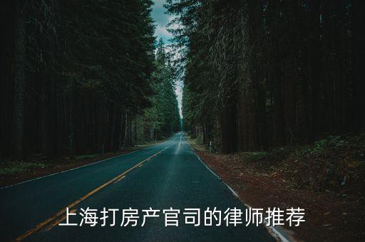 上海市海華永泰律師事務(wù)所彭琨，上海閘北區(qū)律師最好的是誰