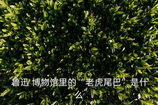 魯迅博物館,北京魯迅-1/主持工作