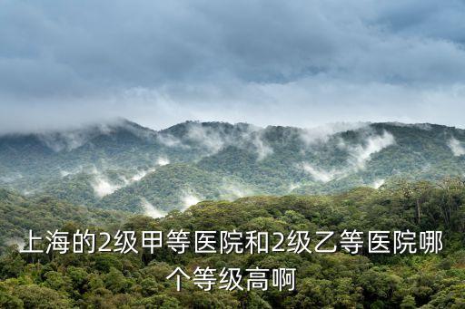 上海的2級甲等醫院和2級乙等醫院哪個等級高啊