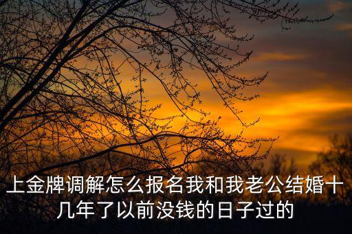 東莞婚姻金牌調解，金牌調解欄目收費嗎