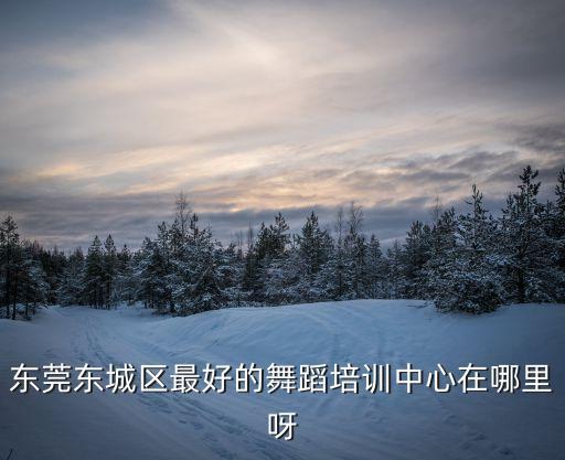 東莞東城區(qū)最好的舞蹈培訓(xùn)中心在哪里呀