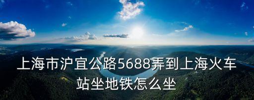 上海市滬宜公路5688弄到上海火車站坐地鐵怎么坐