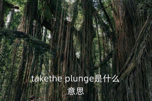 plunge,財政預算案2021年第一季經濟數據