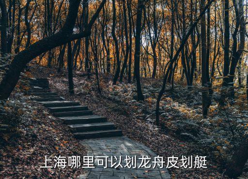 上海哪里可以劃龍舟皮劃艇