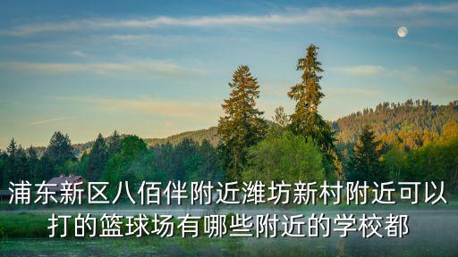 上海市浦東新區2020高中籃球，上海在浦東新區金橋哪里有打籃球