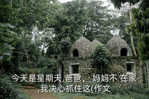 今天是星期天,爸爸、 媽媽不 在家,我決心抓住這(作文