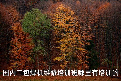 東莞焊機維修培訓，國內二包焊機維修培訓班哪里有培訓的