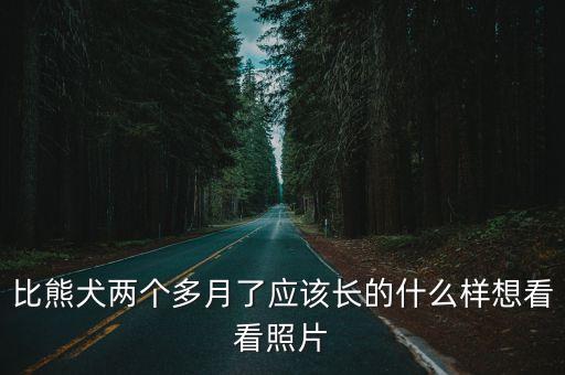 比熊圖片，比熊犬兩個多月了應該長的什么樣想看看照片