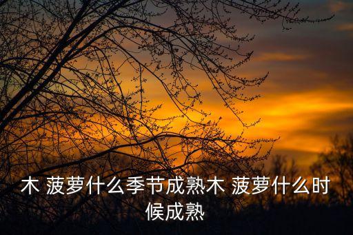 木菠蘿,木頭菠蘿樹液功效與作用:解結消腫止痛