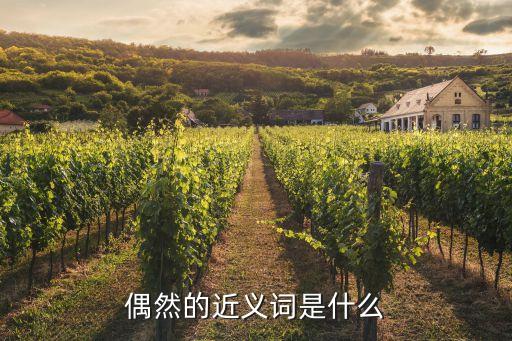 偶然的近義詞是什么