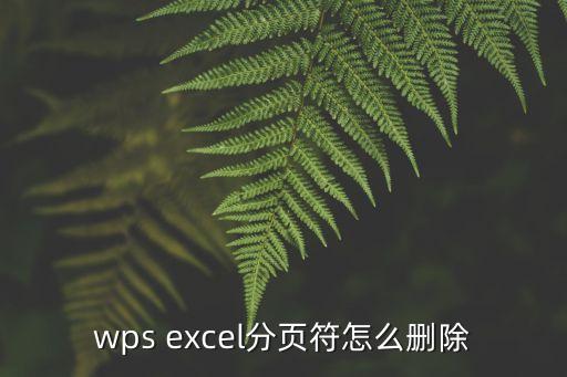 wps excel分頁符怎么刪除