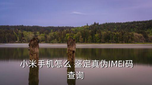  小米手機怎么 鑒定真偽IMEI碼查詢