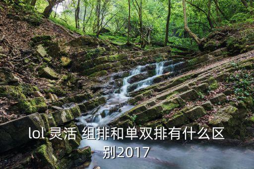 靈活組排,英雄聯(lián)盟靈活組排有何不同?