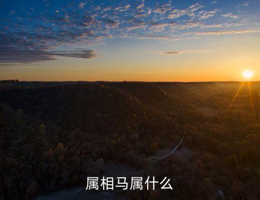 生肖馬，屬相馬屬什么