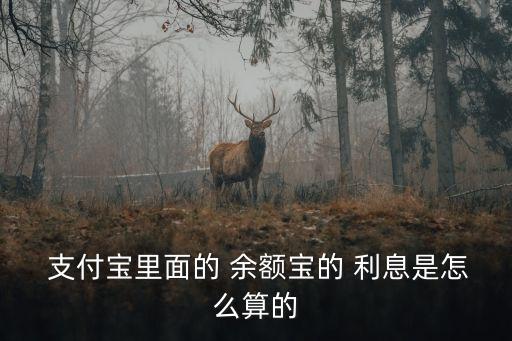  支付寶里面的 余額寶的 利息是怎么算的
