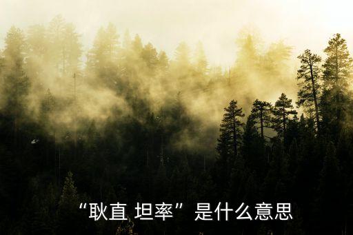 “耿直 坦率”是什么意思