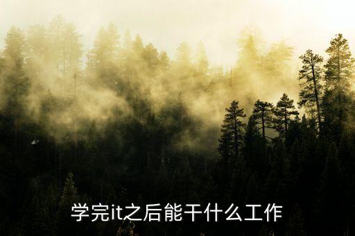 it工作,計(jì)算機(jī)行業(yè)需求量大工作好找