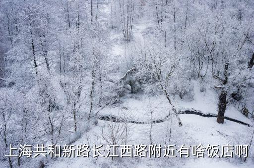 上海市共和新路口的申宴飯店，上海市閘北區共和新路上的所有的飯店名稱
