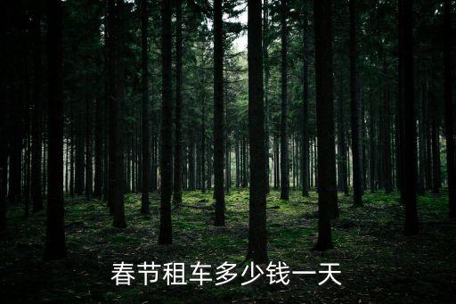 春節租車多少錢一天