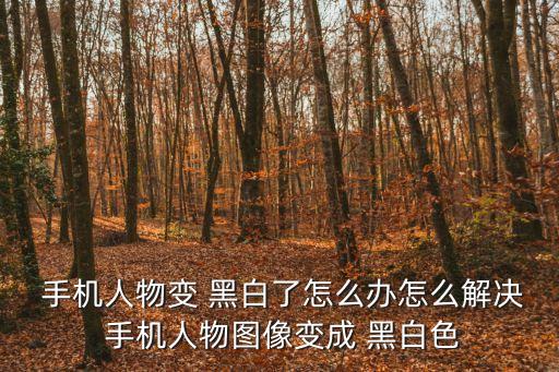  手機(jī)人物變 黑白了怎么辦怎么解決 手機(jī)人物圖像變成 黑白色