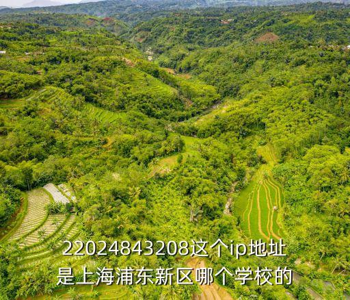 22024843208這個ip地址是上海浦東新區哪個學校的