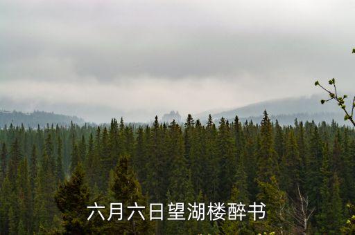 六月六日望湖樓醉書(shū)