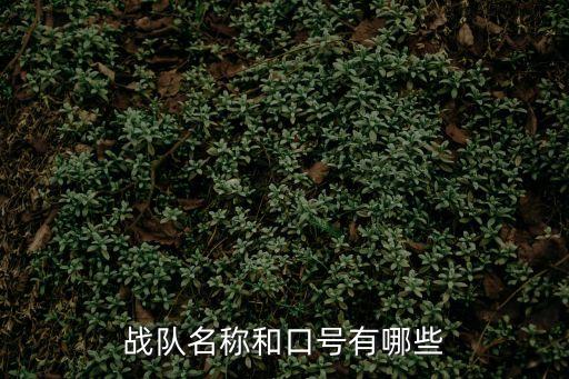 戰(zhàn)隊名稱和口號有哪些