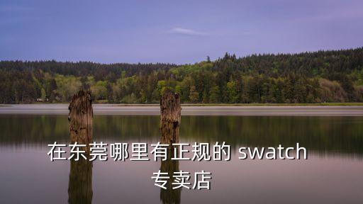 在東莞哪里有正規的 swatch 專賣店