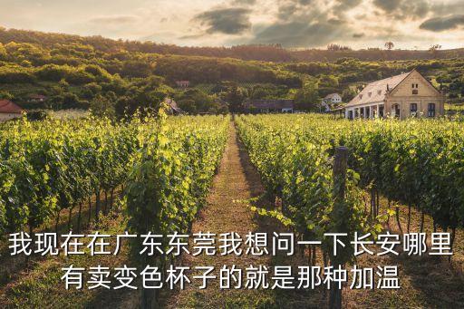 我現在在廣東東莞我想問一下長安哪里有賣變色杯子的就是那種加溫