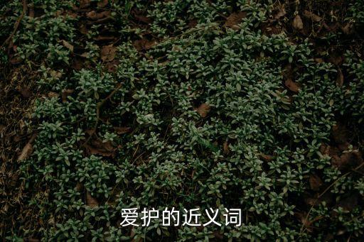 愛護的近義詞