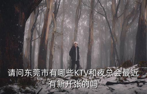 東莞ktv有嗎，東莞現在還有KTV在營業嗎