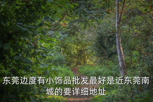 東莞邊度有小飾品批發最好是近東莞南城的要詳細地址