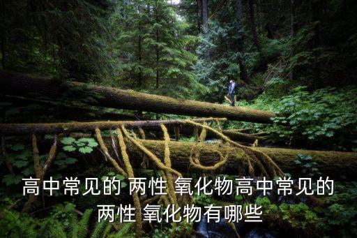 高中常見的 兩性 氧化物高中常見的 兩性 氧化物有哪些