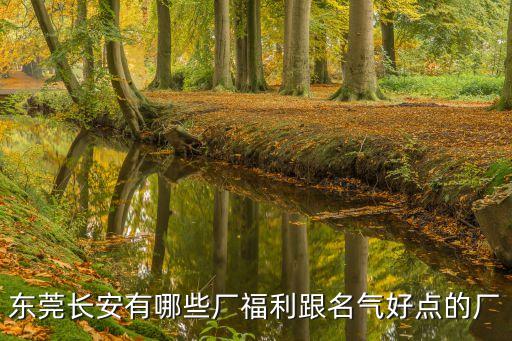 東莞長安有哪些廠福利跟名氣好點的廠