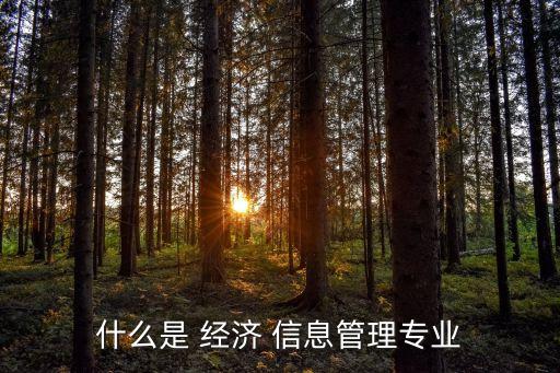 經濟信息管理,經濟信息管理專業:培養適應社會市場經濟人才