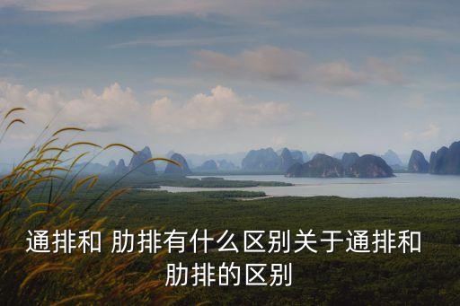 通排和 肋排有什么區別關于通排和 肋排的區別