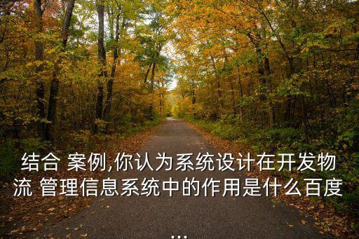 管理信息系統案例