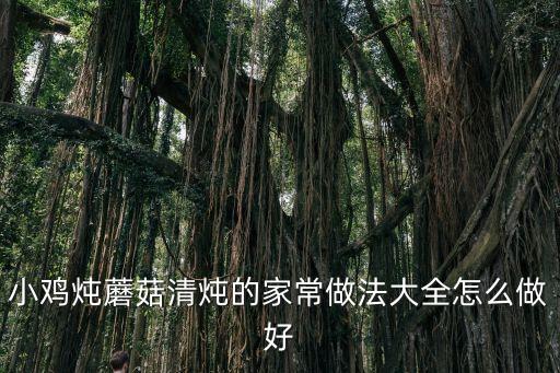 小雞燉蘑菇清燉的家常做法大全怎么做好