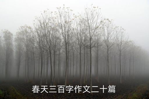 春天三百字作文二十篇