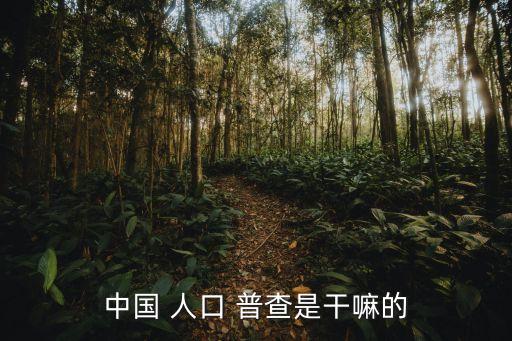 中國 人口 普查是干嘛的