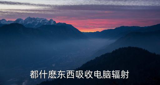 都什麼東西吸收電腦輻射