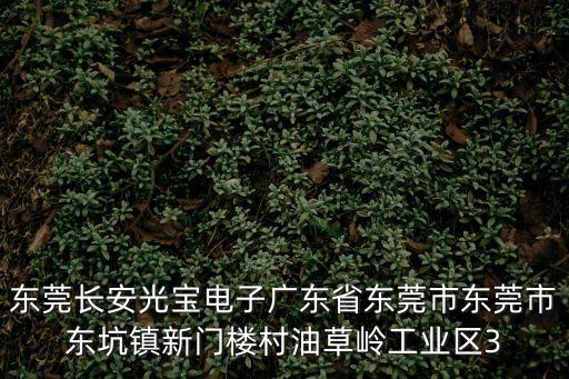 東莞長安光寶電子廣東省東莞市東莞市東坑鎮新門樓村油草嶺工業區3