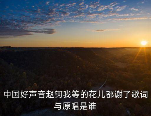 趙雷中國好聲音，趙雷 什么時候參加中國好歌曲的