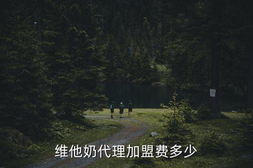 維他奶代理加盟費多少