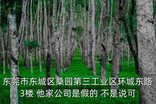 東莞霖榮實(shí)業(yè)，東莞市麻涌鎮(zhèn)最重要的企業(yè)是哪一家